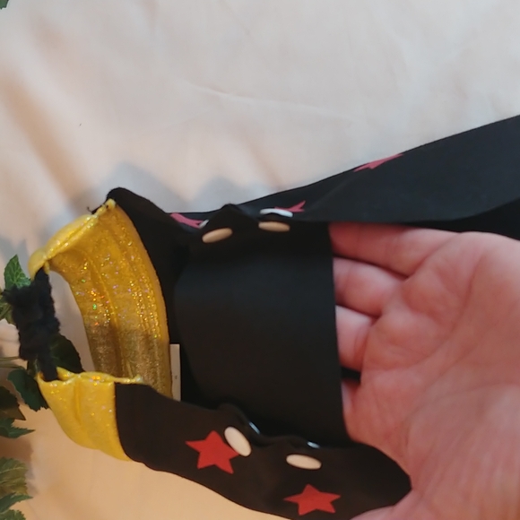 Pet Costume. Cute little cape. Size Small. Like New. - Picture 3 of 7